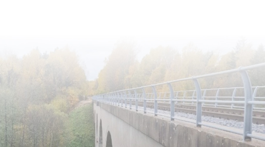 Посещение арочного моста в Токаревке не требует оплаты, уточнили в нацпарке «Виштынецкий»