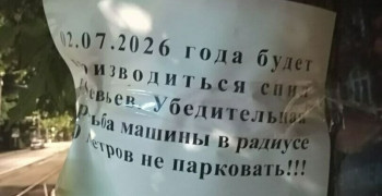На проспекте Победы в Калининграде запланирована вырубка липовой аллеи