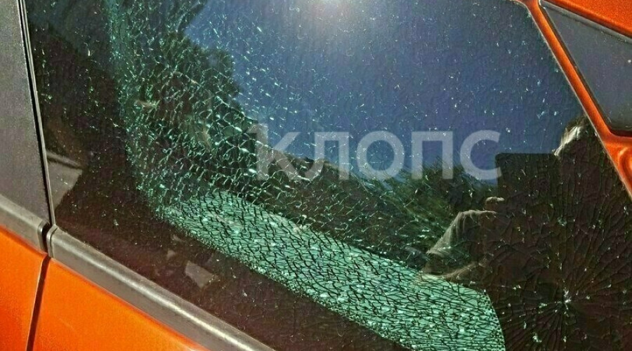 В Калининграде камень из-под косилки повредил автомобиль на въезде в Зеленоградск