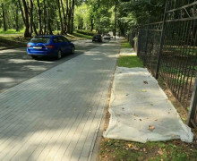 В Калининграде газоны защищают от птиц нетканым материалом