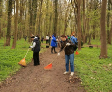 Калининград присоединился к Всероссийскому субботнику: в городских парках высадили новые пихты