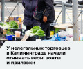 В Калининграде усилили борьбу с нелегальной торговлей: рейды и изъятие оборудования