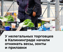 В Калининграде усилили борьбу с нелегальной торговлей: рейды и изъятие оборудования