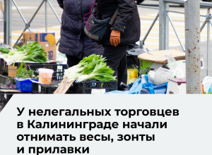 В Калининграде усилили борьбу с нелегальной торговлей: рейды и изъятие оборудования