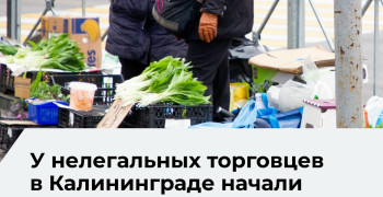 В Калининграде усилили борьбу с нелегальной торговлей: рейды и изъятие оборудования
