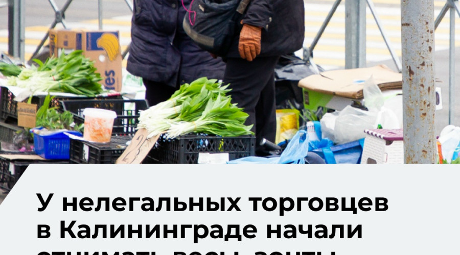 В Калининграде усилили борьбу с нелегальной торговлей: рейды и изъятие оборудования
