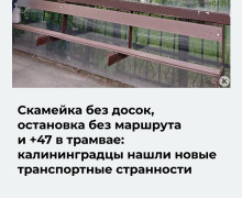 «Сам себе контролёр»: пассажиры калининградского транспорта указали на новые неудобства