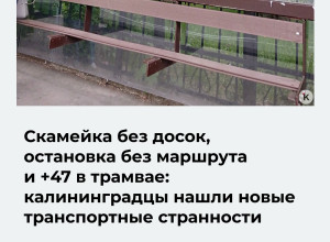 «Сам себе контролёр»: пассажиры калининградского транспорта указали на новые неудобства