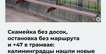 «Сам себе контролёр»: пассажиры калининградского транспорта указали на новые неудобства