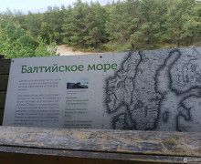 Высота Мюллера (Куршская коса)