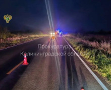 Уголовное дело возбуждено после смертельного ДТП с велосипедистом под Неманом