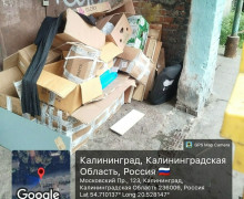 Кирпичная, Московский проспект и 9 Апреля: где в Калининграде скопился мусор