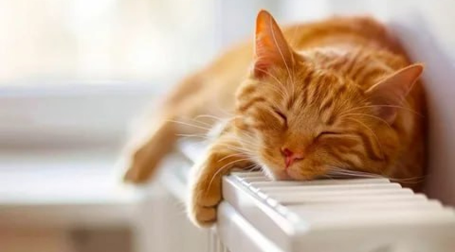 Отопительный сезон в Калининграде намерены завершить 4 мая