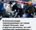 Урбанист Святослав Мурунов: в Калининграде активных горожан больше, чем в других городах