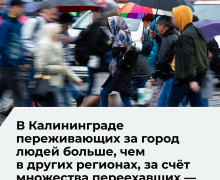 Урбанист Святослав Мурунов: в Калининграде активных горожан больше, чем в других городах
