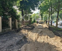 На проспекте Победы в Калининграде продолжили ремонт тротуара: жители обеспокоены сохранностью деревьев