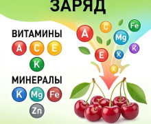 Роскачество рассказало о полезных свойствах вишни