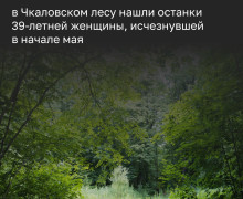 В Чкаловском лесу обнаружены останки женщины, предположительно пропавшей в мае калининградки