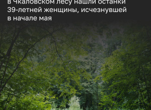 В Чкаловском лесу обнаружены останки женщины, предположительно пропавшей в мае калининградки