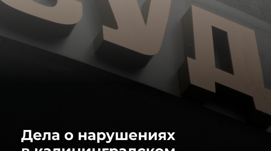 В Калининграде после проверки семейного центра на Карамзина двум предпринимателям грозят штрафы