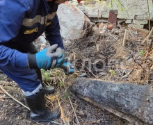 Тело мужчины в заброшенном доме на улице Пархоменко пролежало более трёх месяцев