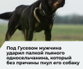 Житель Ломового защитил собаку от пьяного односельчанина и стал фигурантом уголовного дела