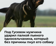 Житель Ломового защитил собаку от пьяного односельчанина и стал фигурантом уголовного дела
