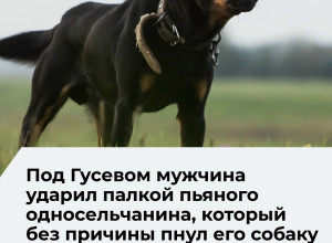 Житель Ломового защитил собаку от пьяного односельчанина и стал фигурантом уголовного дела