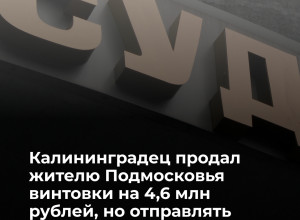 Мужчина продал клиенту из Подмосковья крупную партию пневматических винтовок, а после получения денег перестал выходить на связь
