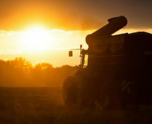В Калининградской области идёт активная уборочная кампания