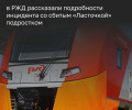 В Калининградской области подросток попал под поезд между станциями Малиновка и Сокольники