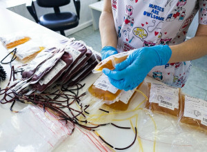 Председатель Законодательного Собрания Андрей Кропоткин поздравил доноров от имени регионального парламента