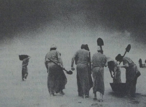 Пропавшее кино