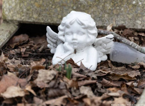 Власти Калининграда не согласовали установку стенда с именами захороненных на кладбище на Камской
