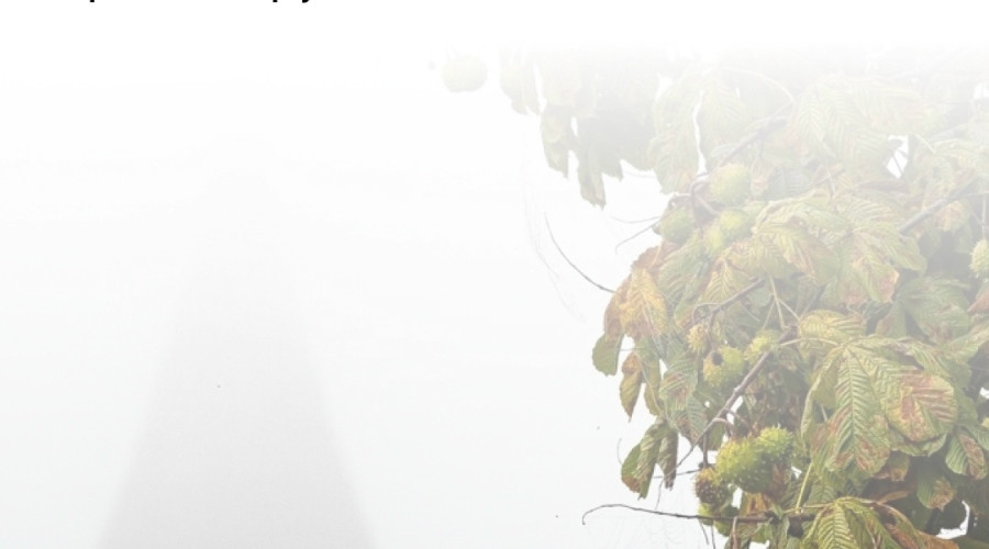 Реставрация Кафедрального собора в Калининграде не потребует его закрытия