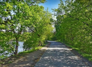 Определен подрядчик для ремонта участка дороги у отеля «Балтика» в Калининграде