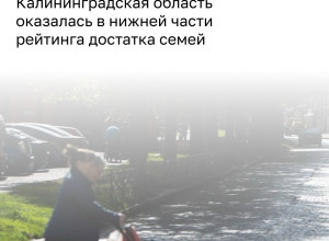 Калининградская область заняла 67-е место в рейтинге благосостояния семей по итогам 2025 года