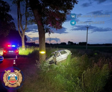 В Правдинском районе автомобиль столкнулся с деревом