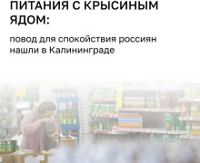 Детское питание HiPP изъято из продажи в Австрии после обнаружения крысиного яда