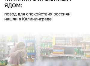 Детское питание HiPP изъято из продажи в Австрии после обнаружения крысиного яда