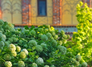 Утро в Калининграде: фото Людмилы Суслиной
