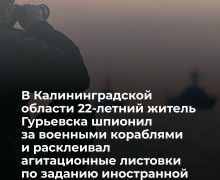 Житель Калининградской области осуждён за государственную измену