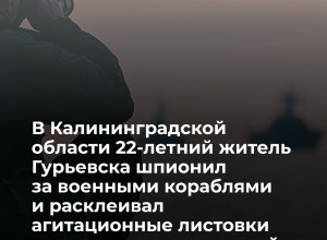 Житель Калининградской области осуждён за государственную измену