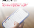 Что изменится в жизни калининградцев с августа: налоги, безопасность, поддержка военных и реклама вина