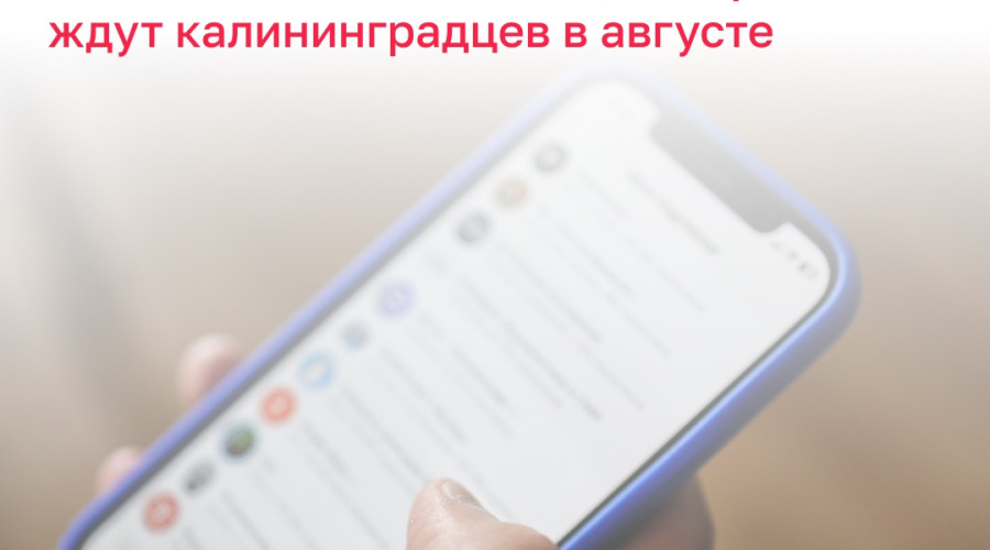 Что изменится в жизни калининградцев с августа: налоги, безопасность, поддержка военных и реклама вина