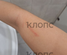 В Калининграде пожилая пассажирка напала на девушку в автобусе из-за места