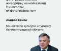 Ермак призвал пресечь деятельность фотографов с голубями у Медового моста