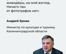 Ермак призвал пресечь деятельность фотографов с голубями у Медового моста