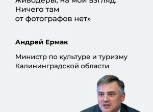 Ермак призвал пресечь деятельность фотографов с голубями у Медового моста