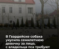 В Гвардейском районе суд рассмотрит иск о компенсации морального вреда девочке, пострадавшей от укуса собаки